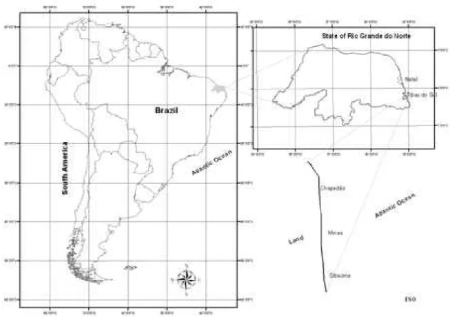 Fig. 1 – Área de estudo situada no município de Tibau do Sul, Rio Grande do Norte, 