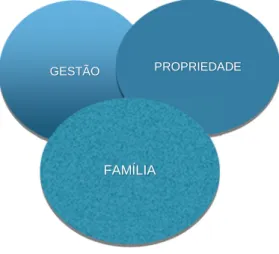 Figura 1: Três dimensões  da empresa familiar baseado no conceito apresentado por Gersick at al