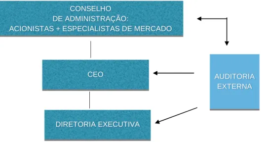 Figura 6: Modelo de governança corporativa na LIFE SIMPLE, elaboração própria com base no fluxo proposto por Rodrigues  e Mendes (2004) apud Araujo, do Carmo e Matesco (2013)