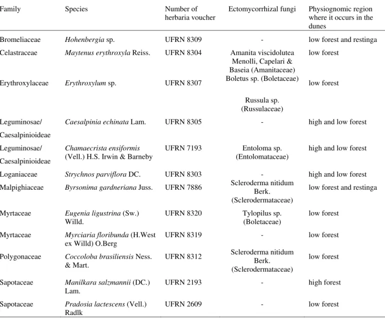 Table 2: Taxa of possible ectomycorrhizal trees occurring on the Parque Dunas do Natal,  northeastern Brazil
