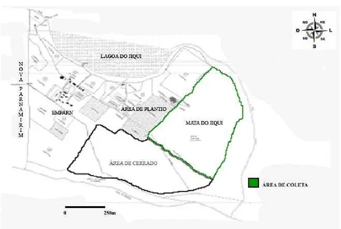 Fig. 1.8. Mapa da EMPARN mostrando a Mata do Jiqui. 