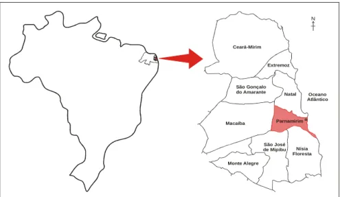 Figura 10 – Região Metropolitana e Município onde foi realizada a pesquisa.   Fonte – Adaptado dos sites Meu Brazil e Seplan