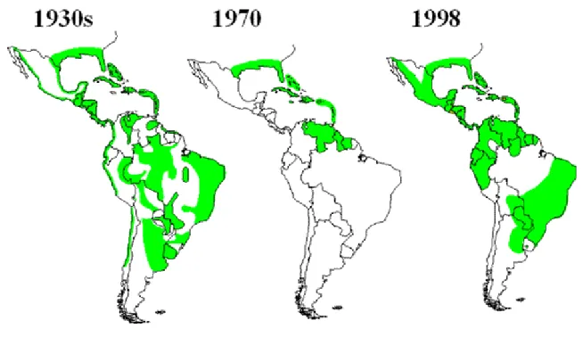 Figura 02 – Reintrodução do Aedes aegypti no Brasil na década de 1970 (Gubler, 2002). Adaptado de  Gubler D.J