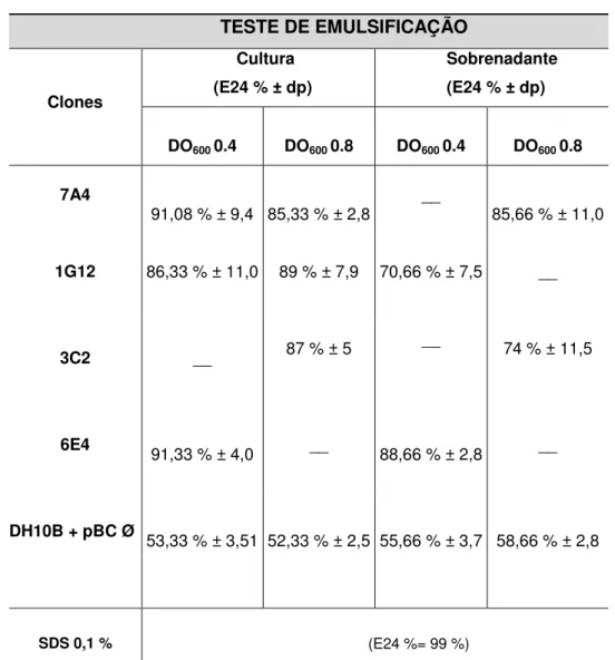 Tabela 2. Clones Positivos para o Teste de Emulsificação de Querosene 5.3 HABILIDADE DE SINTETIZAR BIOSSURFACTANTES 