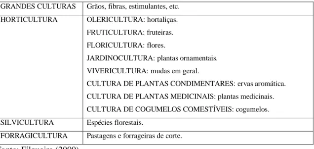 Tabela 2: Classificação das espécies cultivadas  GRANDES CULTURAS  Grãos, fibras, estimulantes, etc
