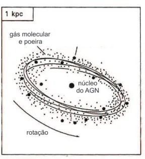 Figura 2.12: O disco central de forma¸c˜ao de estrelas, da ordem de kpcs. núcleo doAGN escondidotorus molecularnuvensnarrow-line