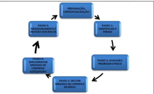 Figura 9  – Fluxo para a Gestão de Riscos 