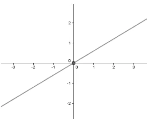 Figura 3.3: Função Linear