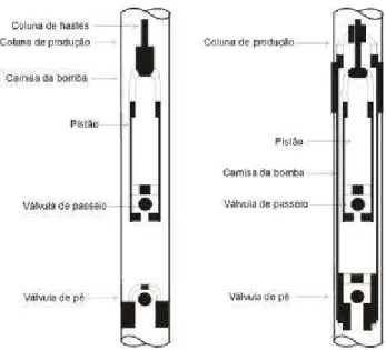 Figura 3.5 Bomba tubular e bomba insertável. 