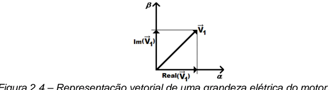 Figura 2.4 – Representação vetorial de uma grandeza elétrica do motor. 