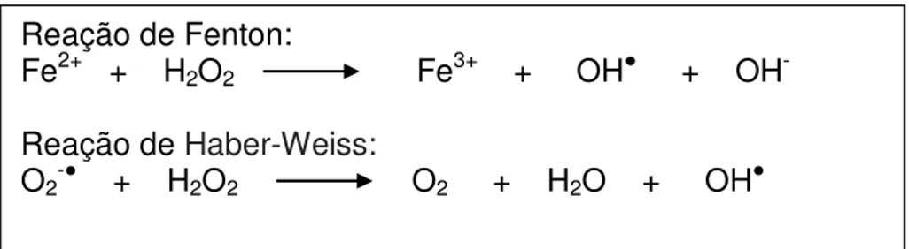 Figura  4.  Reações  de  formação  do  radical  hidroxila  a  partir  do  peróxido de hidrogênio