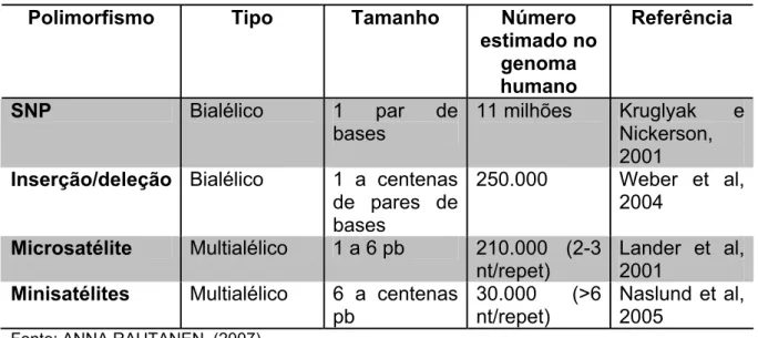 Tabela 5 - Variações na seqüência de DNA no genoma humano 