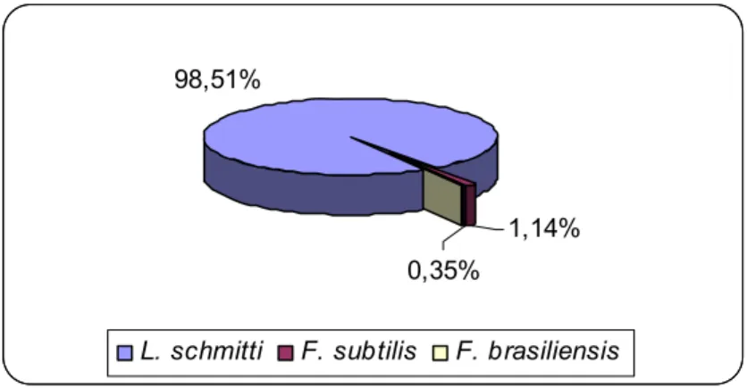 Figura 4. Percentual das espécies autóctones de camarões peneídeos coletados no canal de  abastecimento da Primar no período de maio de 2005 a abril de 2006