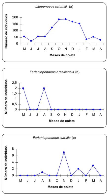 Figura 5. Variação mensal da abundância das espécies autóctones de camarões 
