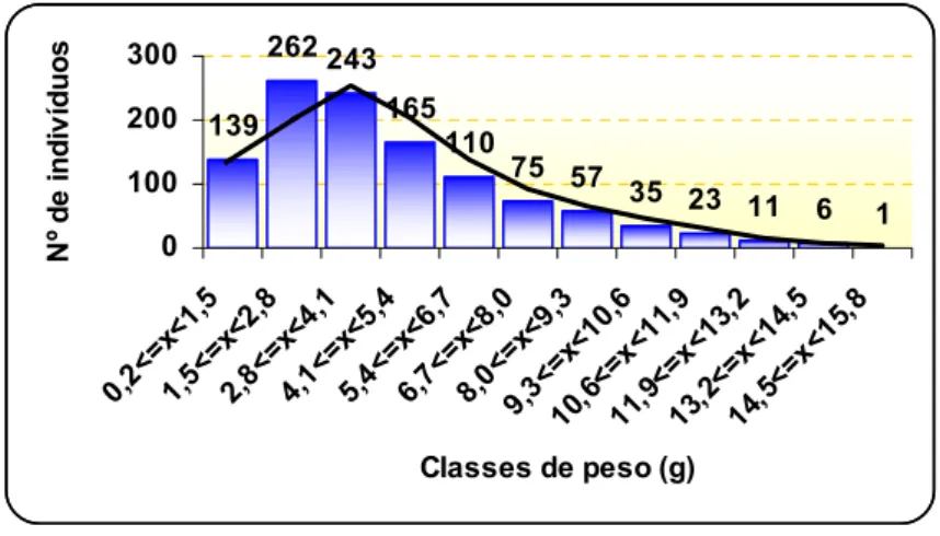 Figura 6. Número total de indivíduos por classe de peso obtidos no canal de abastecimento  da Primar no período de maio de 2005 a abril de 2006 pertencentes à espécie Litopenaeus 