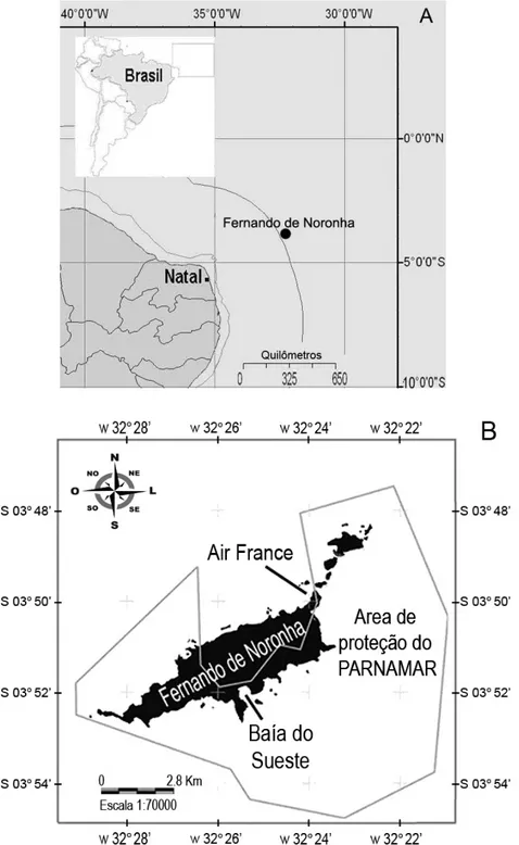 Figura 1: A Localização do Arquipélago de Fernando de Noronha (FN). B Áreas de coletas 