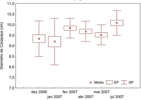 Figura 2: Diâmetro médio de carapaça de Tripneustes ventricosus amostrados entre  dezembro de 2006 e julho de 2007 no arquipélago de Fernando de Noronha