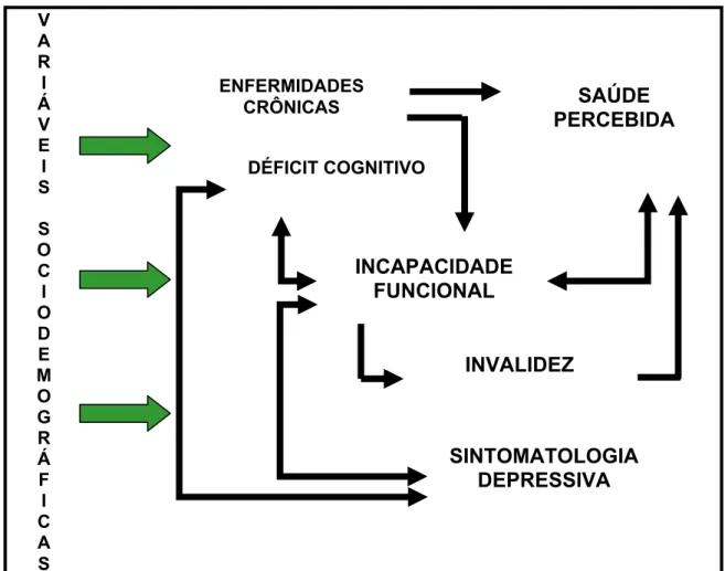 Figura 03 - Modelo causal de saúde e incapacidade de Beland e Zunzunegui. VARIÁVEISSOCIODEMOGRÁFICASENFERMIDADESCRÔNICASINCAPACIDADE FUNCIONALDÉFICIT COGNITIVOSAÚDEPERCEBIDA INVALIDEZSINTOMATOLOGIADEPRESSIVA