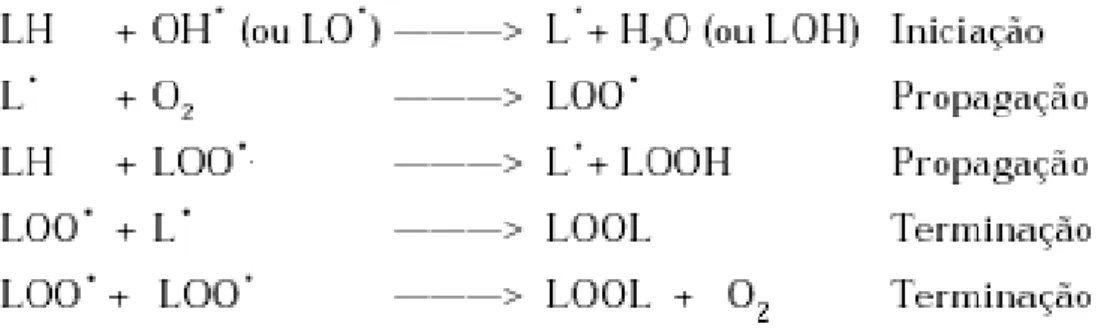 Figura 06 – Iniciação, propagação e terminação da lipoperoxidação. LO . : radical alcoxila, L 