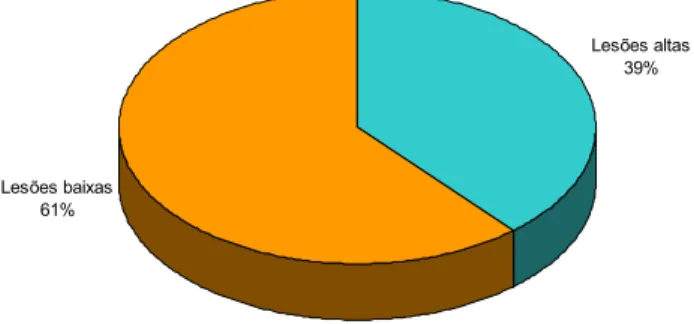 Figura 4.4 – Distribuição dos participantes segundo o nível de lesão 