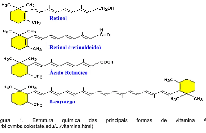 Figura 1. Estrutura química das principais formas de vitamina A  (arbl.cvmbs.colostate.edu/.../vitamina.html) 