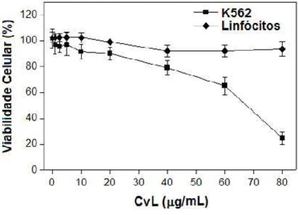 Figura 7: Citotoxicidade de CvL para células K562 e linfócitos de sangue periférico avaliada pelo  teste de redução de MTT