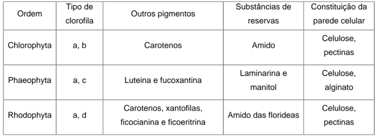 Tabela I: Principais características utilizadas para classificação das  macroalgas