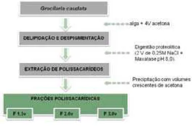 Figura 03. Metodologia de extração dos polissacarídeos sulfatados da alga 