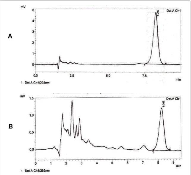 Figura  8.  Cromatogramas  de  alfa-tocoferol.  Padrão  externo  (A)  e  amostra  de  leite  materno (B), com tempo de retenção de 8,2 minutos