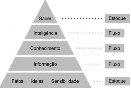 Figura 2 – Pirâmide de fluxos e estoques 