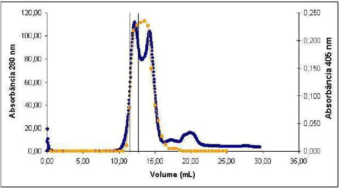 Figura 05: Perfil de eluição da  β - D -glicosidase em cromatografia de exclusão molecular - Superose  12 