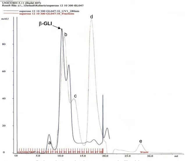 Figura 08: Cromatografia de exclusão molecular Superose 12 (Calibrada) 