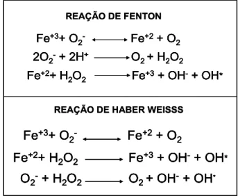 Figura 6- Reação de Fenton e de Harber Weiss.