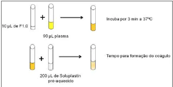 Figura 7. Esquema do Tempo de Protrombina (PT) 