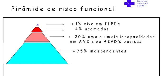 Figura 3  - Pirâmide de Risco Funcional                                                   