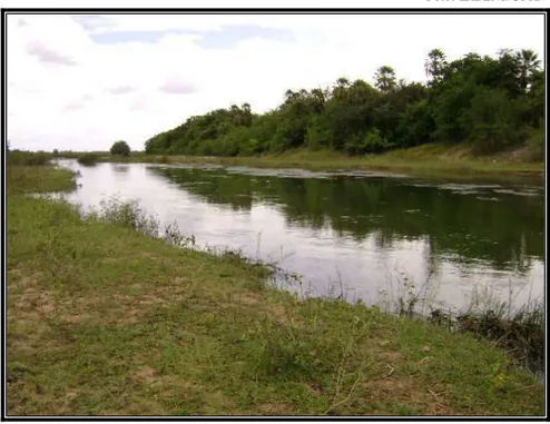 Figura 04 – Vista panorâmica do P2, próximo ao canal de captação de água em Ipanguaçu