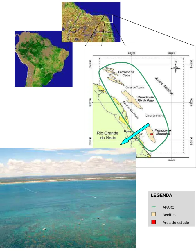 Figura 2. Localização da Área de Preservação Ambiental dos Recifes de Corais  (APARC).