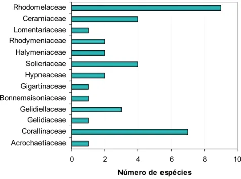 Figura 5 . Distribuição do número de espécies encontradas durante a realização do estudo  entre as famílias de Rhodophyta