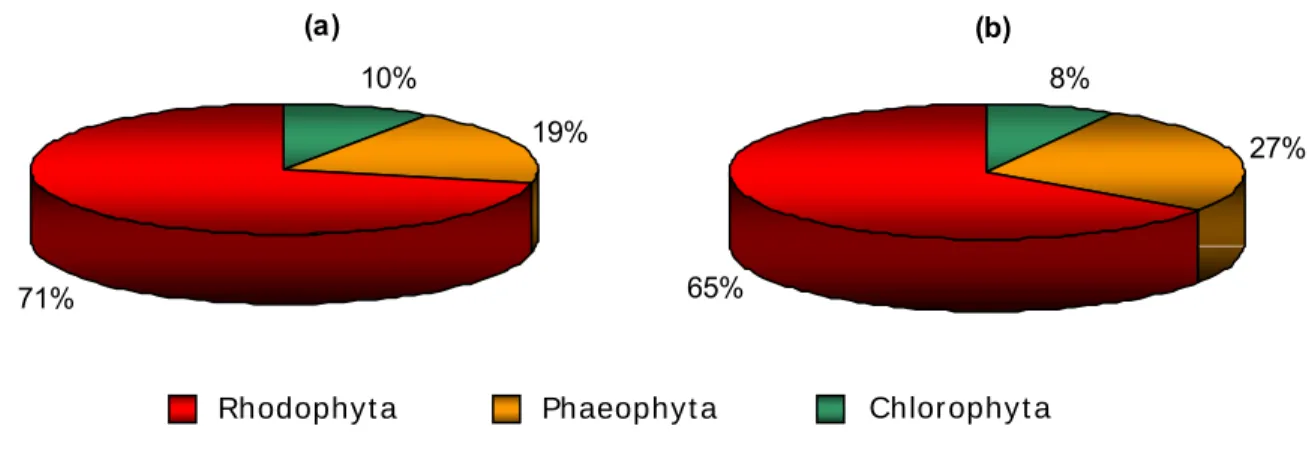 Figura 6. Distribuição (%) dos filos encontrados na (a) área impactada e na (b) área não  impactada