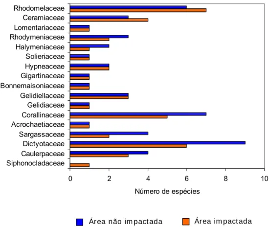 Figura 7. Número de espécies encontradas para cada família de macroalgas na área de  estudo
