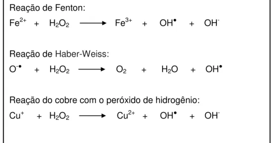 Figura 02: Reações de formação do radical hidroxila a partir do peróxido de 