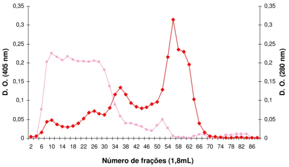 Figura 6: Perfil de eluição da ββββ -N- acetilglucosaminidase em cromatografia de gel filtração  Bio Gel A 1.5m 