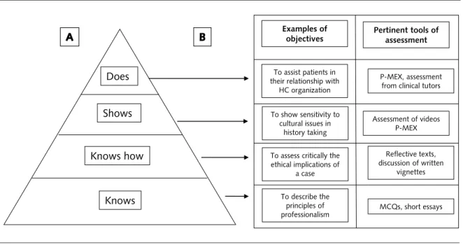Figura 2. Adaptação da Pirâmide de Miller para avaliar do profissionalismo.
