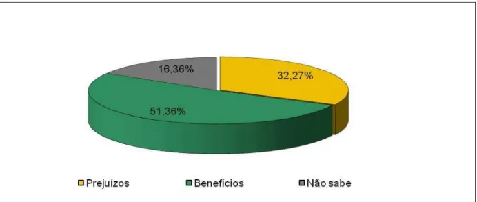 Gráfico 9 –  Opinião dos moradores do setor 135 da vila de Ponta Negra com as conseqüências da 