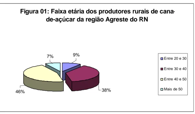 Figura 01: Faixa etária dos produtores rurais de cana- cana-de-açúcar da região Agreste do RN