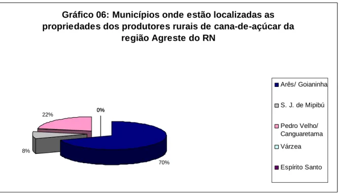 Gráfico 06: Municípios onde estão localizadas as  propriedades dos produtores rurais de cana-de-açúcar da 