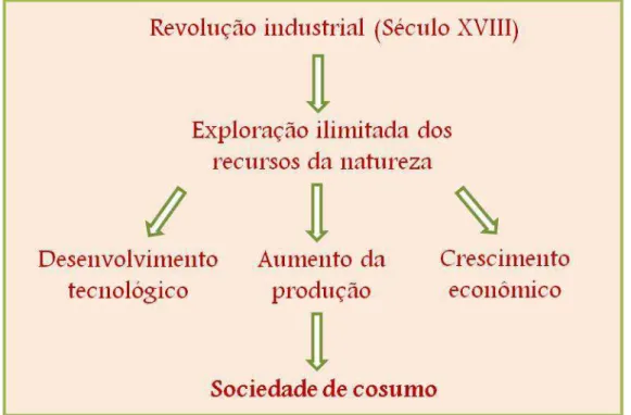 Figura  1:  Formação  da  sociedade  de  consumo.  Fonte:  baseado  em  Conceição  (2003);  Figueiredo (1994)