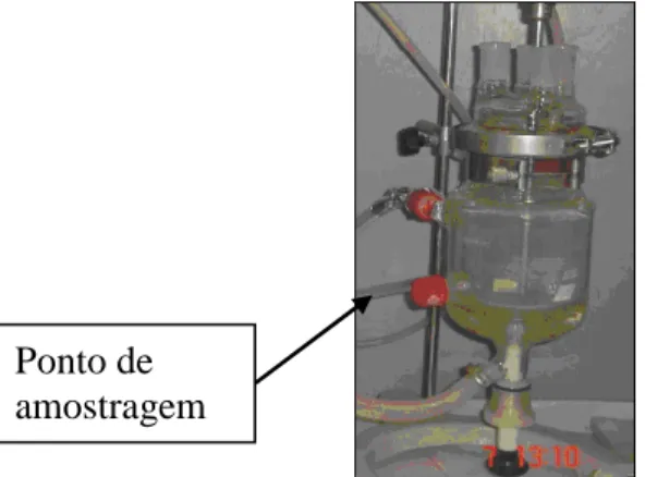 Figura 4.3. Vial utilizado 