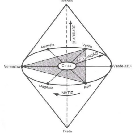 Figura 2.7 Triângulo de cores, de acordo com o Sistema Munsell de cores. 