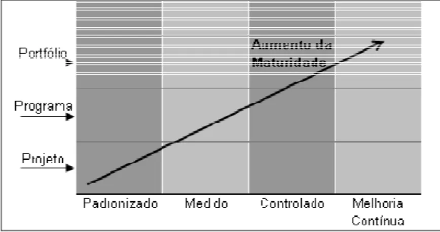 Figura  8  –  Crescimento  da  maturidade  de  projetos  e  os  três  domínios  projeto,  programa e portfólio 